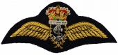 Pilot Crown Badge